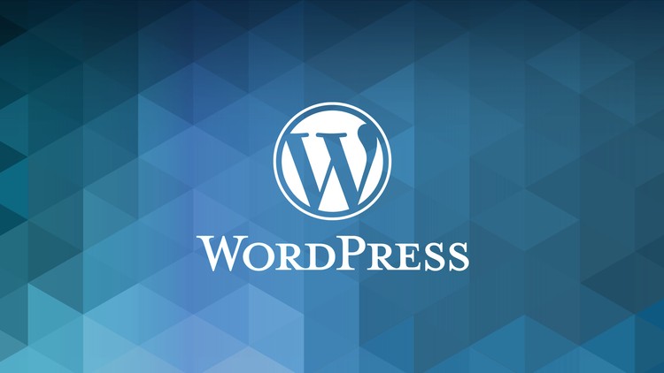 Plugin wordpress là gì? Hướng dẫn cho người mới bắt đầu